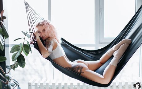 pollypolly exclusive star picture