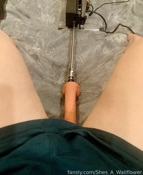 shes a wallflower free star pictures