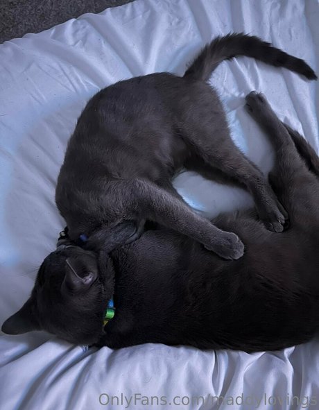 maddylovings star sexy pictures