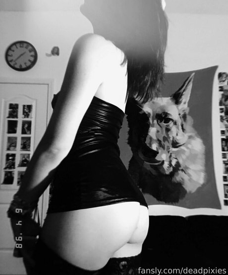 deadpixies hot pornstar galleries