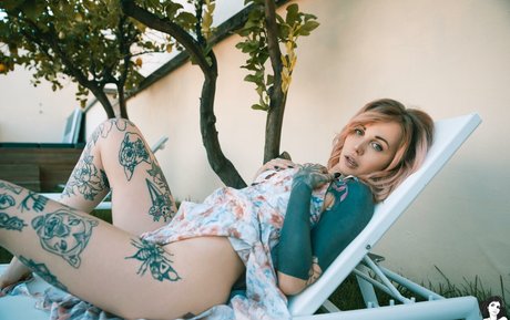 Ninaq high quality pornstar galleries