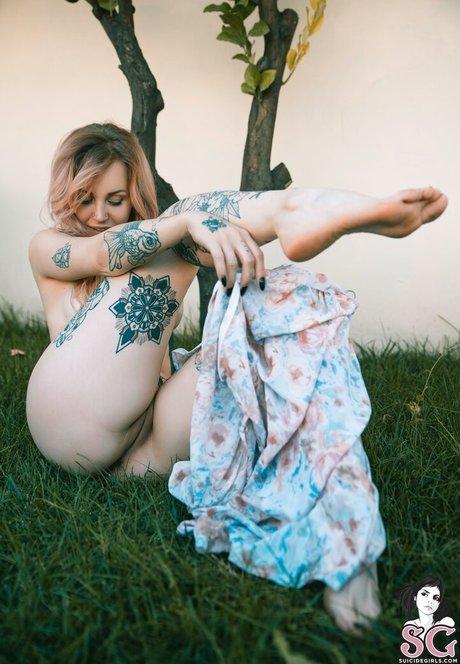 Ninaq star free images