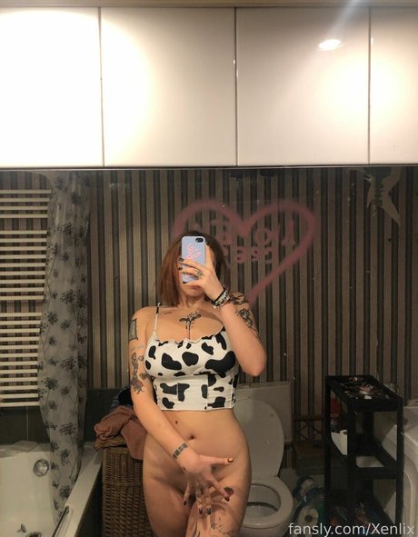 Xenlix model high quality img