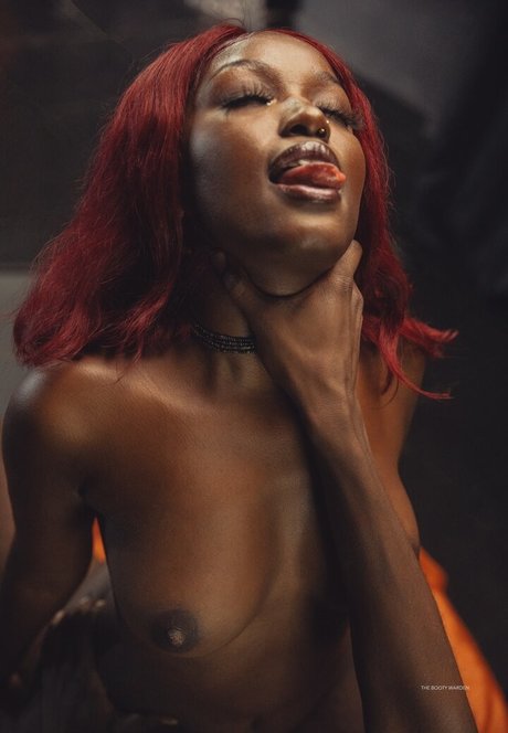 The Booty Warden pornstar perfect image