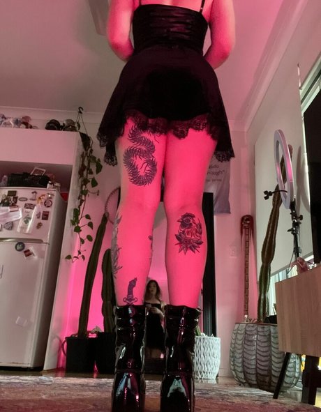 analwonderland model adult galleries