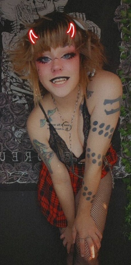 Coophound star high quality pics