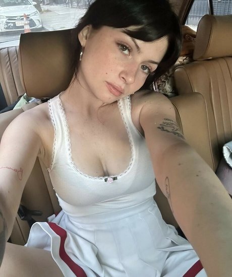 Willow Avalon model top galleries