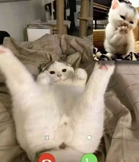 LeaFoxy pornstar hd galleries