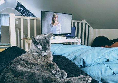 TheMissSilverWitch free star picture