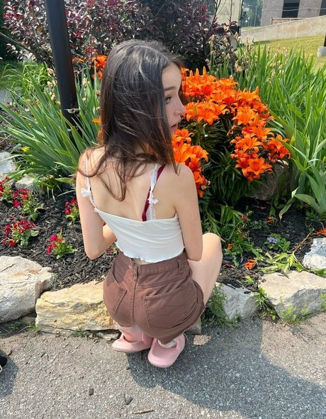 freelolamoon star high quality gallery