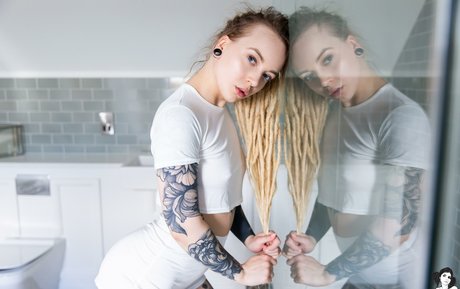 Mundi star high quality photo