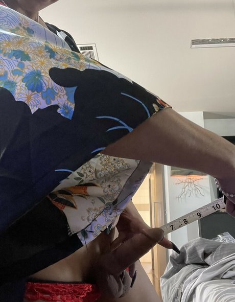 The Domino Presley beautiful star archive