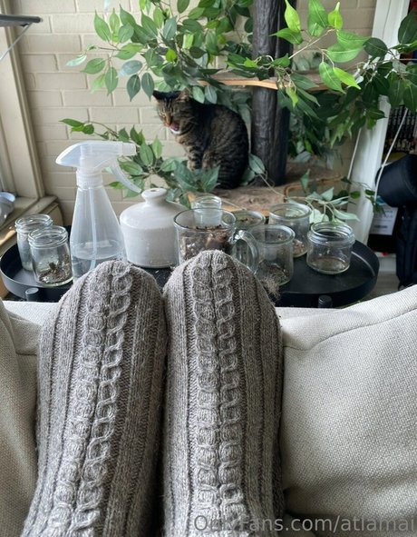 atlamai star pornographic picture