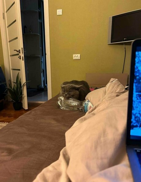 anyuta18 pornstar hd photo