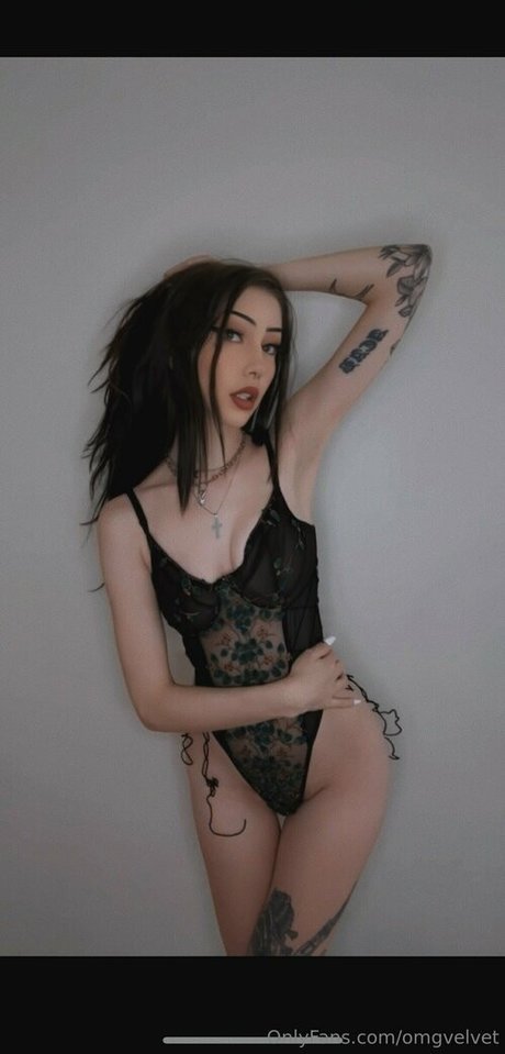 omgvelvet pornstar photo