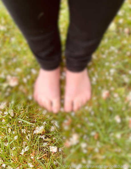 ravenclawslostdiadem star perfect img