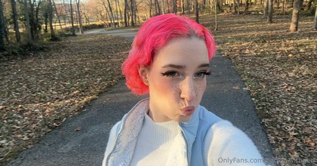 books withari star top galleries