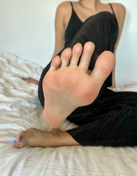 lexialonso star perfect gallery