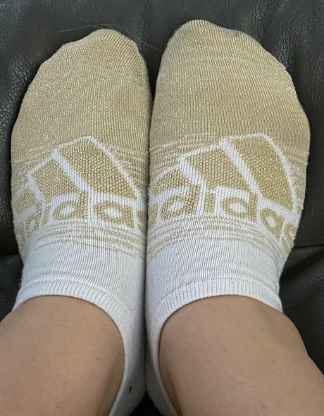 sarasoles2324 star archive