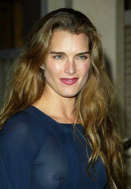 Brooke Shields hot star img
