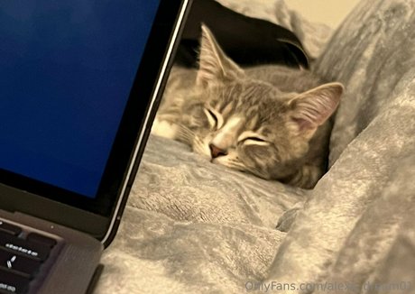 alexa dream01 model beautiful archive