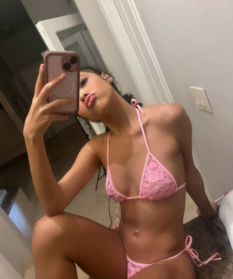 arisfed star nice galleries