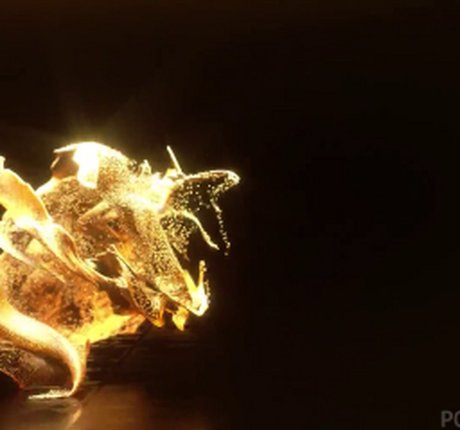 Cheyla Collins beautiful actress galleries