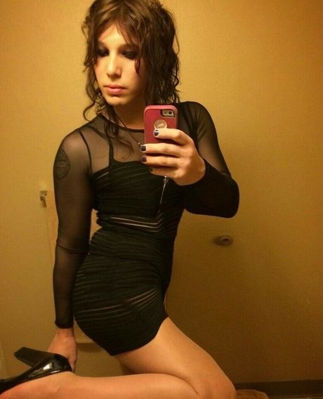 noctiflora star free archive