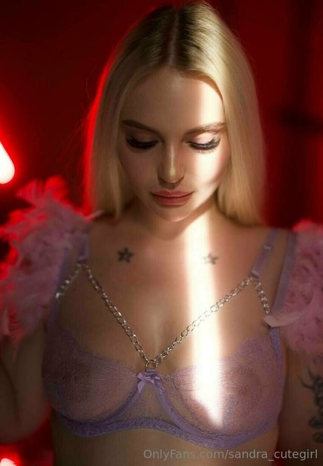 misss sandra vip nude pornstar photos