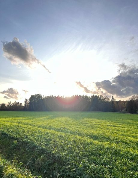 i sophie top actress photo