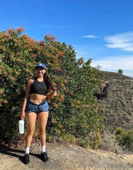 softswapme porn actress archive