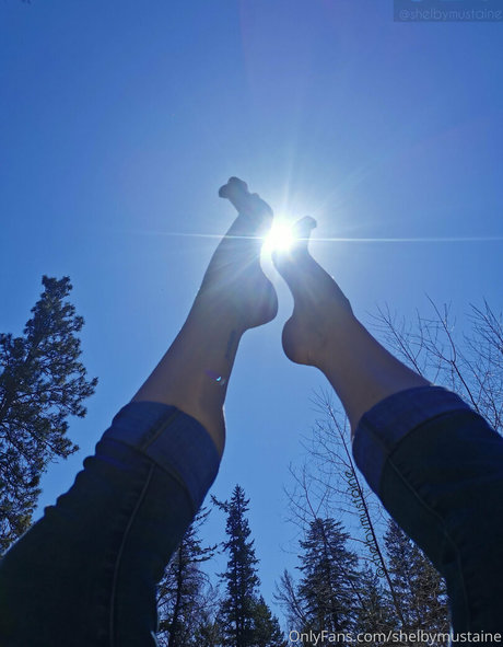 shelbymustaine sex star img