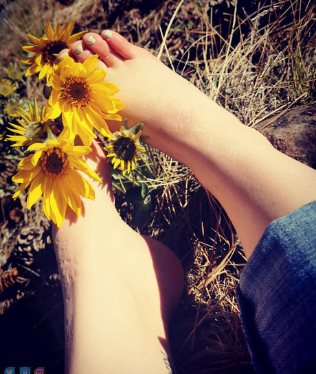 shelbymustaine pornstar free pic