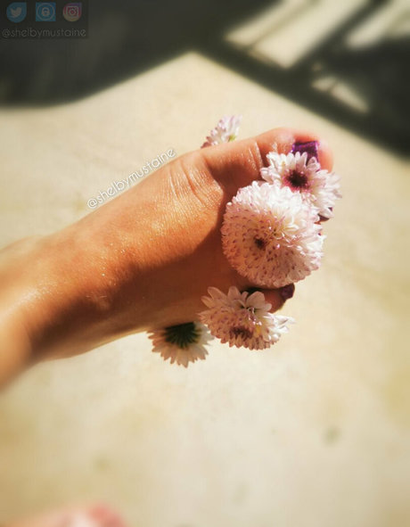 shelbymustaine nice star image