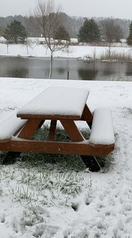 princessapril art pornstar pic