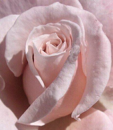 princessapril sexy star gallery