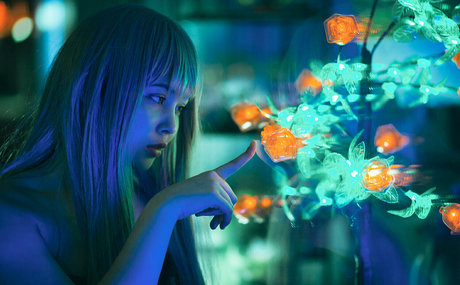 virtualgeisha star pornographic images