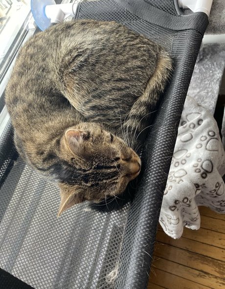 clara dee star pornographic galleries