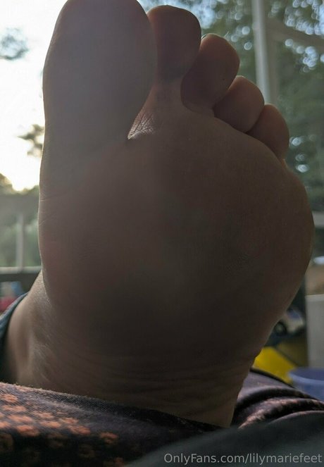 lilymariefeet art star picture