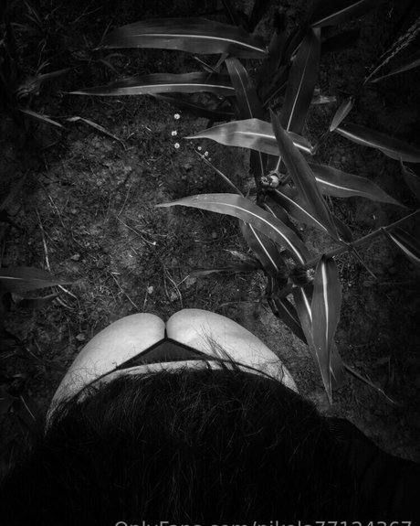 nikola77124367 model high quality pics