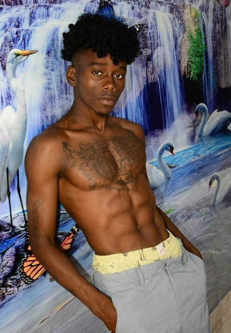 afroflavor star top photo