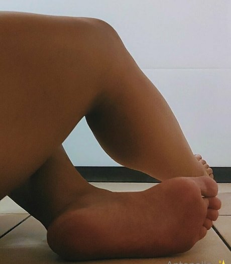 antonella 00 star galleries