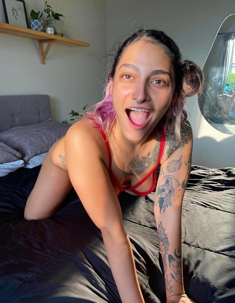 fe lina high quality star galleries