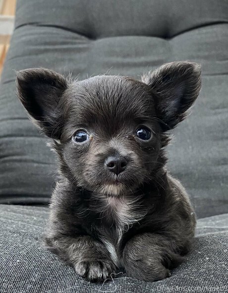 nastyselene star nudes pictures