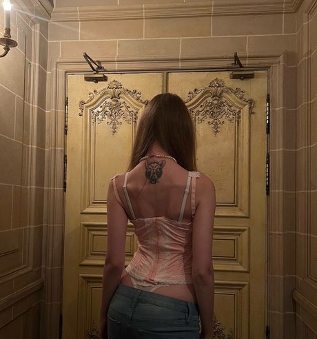 Tero free star archive