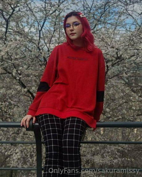 sakuramissy erotic star photo