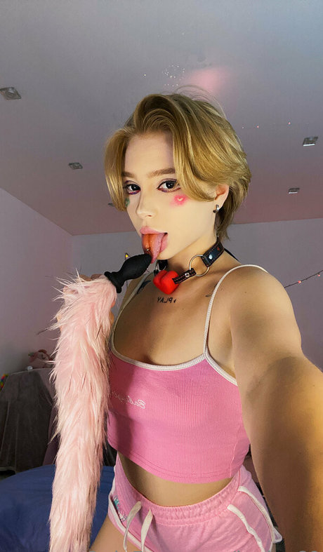 lexia 69 high quality model gallery