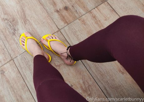 scarletbunnyy pornstar perfect archive