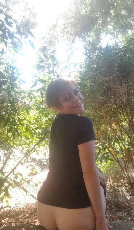 Phaestar star adult images