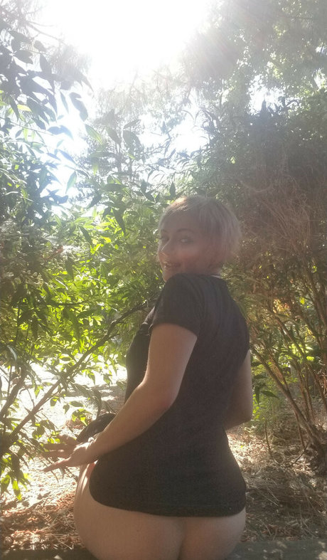 Phaestar pretty star pic